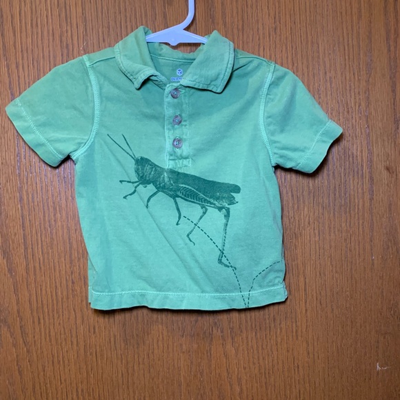 Old Navy Toddler Green Polo Shirt – Grasshopper – 12–18M - Picture 1 of 5
